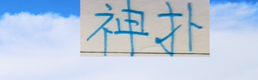 开云博彩-不怕没有神扑了 申花连门将教练都是高级货 曾指导过世界杯门将