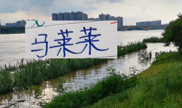 在线体育-如何防隔壁豪华版的马莱莱 是海港穆帅新赛季要应对的一个课题