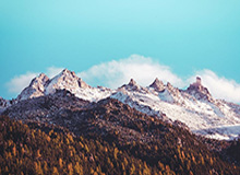 赛事直播-从轮滑到速度滑冰 32岁的郭丹把不可能变成可能